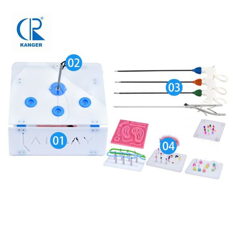 Endotrainer (endotrainer)